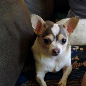 Meet your Posher, Silvia